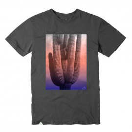 Cactus Sunset Ash