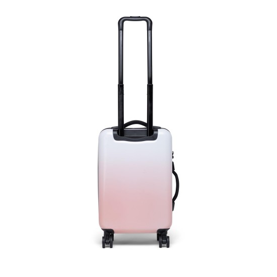 Trade Luggage Small Silver Birch/Ash Rose Gradient